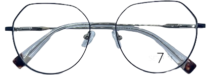 Glasses model 5423